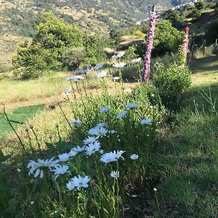 Cortijo En Casa Ibero Slow Turistico Rural Vtar Gr 00516/ 00555 Bubión
